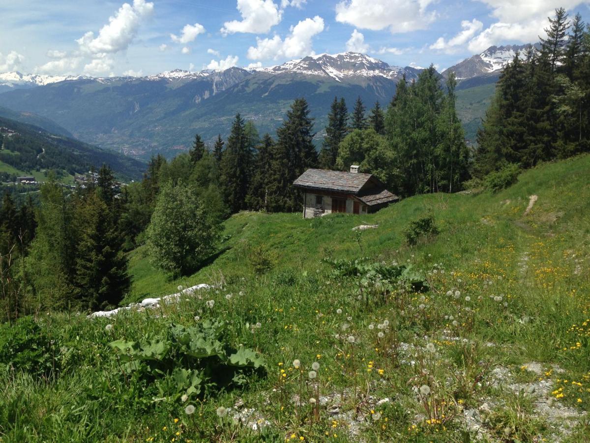 Petit Mont Blanc